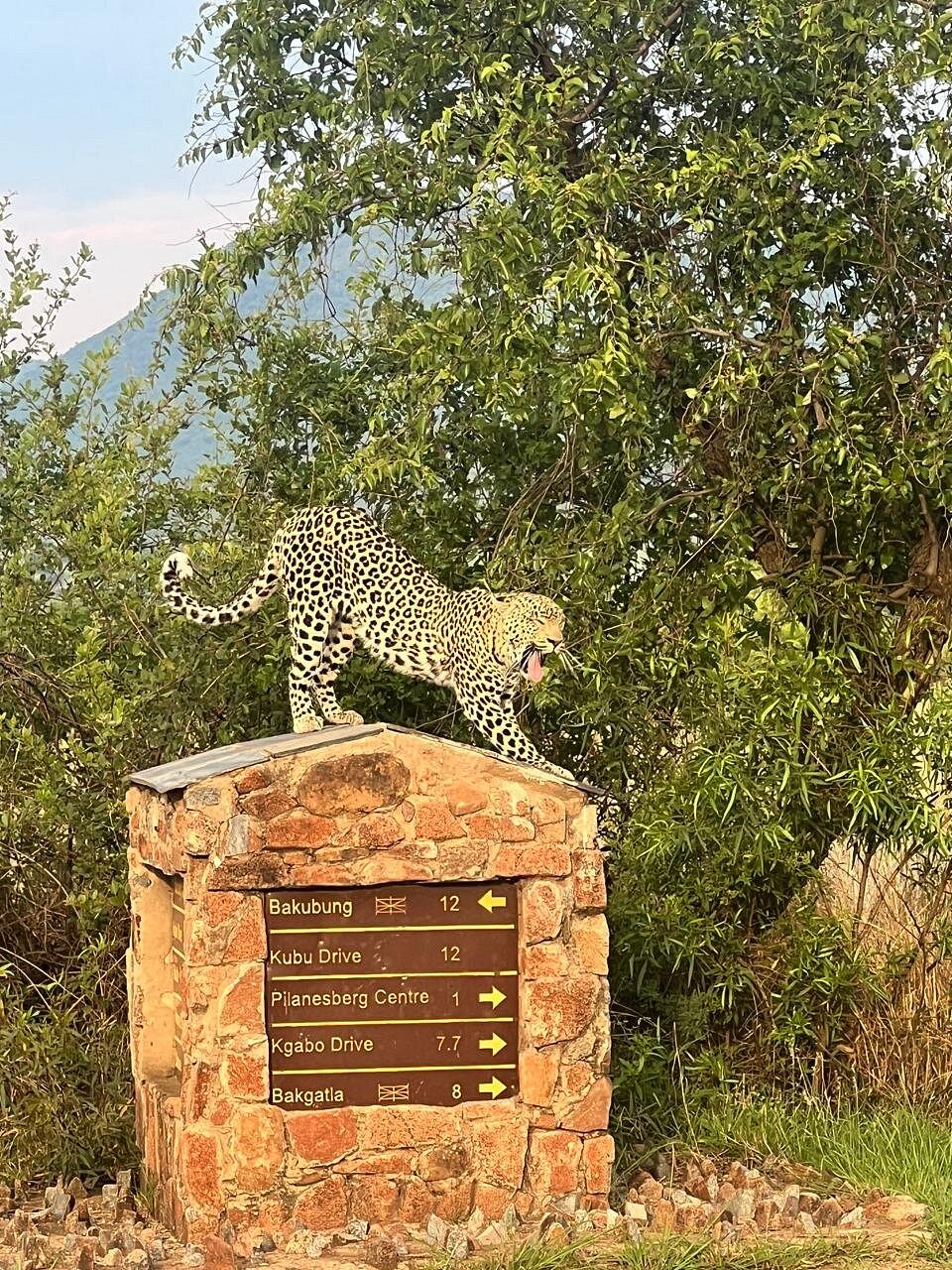 pilanesberg national park safari pilanesberg national park safari