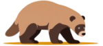 logo sr