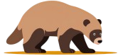 logo sr