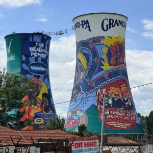 johannesburg and soweto full day (exclusive tour)